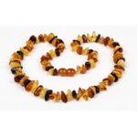 Colar Âmbar Adulto Multi-Chips